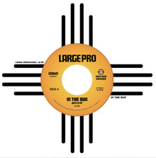 the album cover for Large Professor - In the Sun