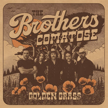 Brothers Comatose - Golden Grass - Splattered Orange & Blue [Colored Vinyl] Vinyl Record