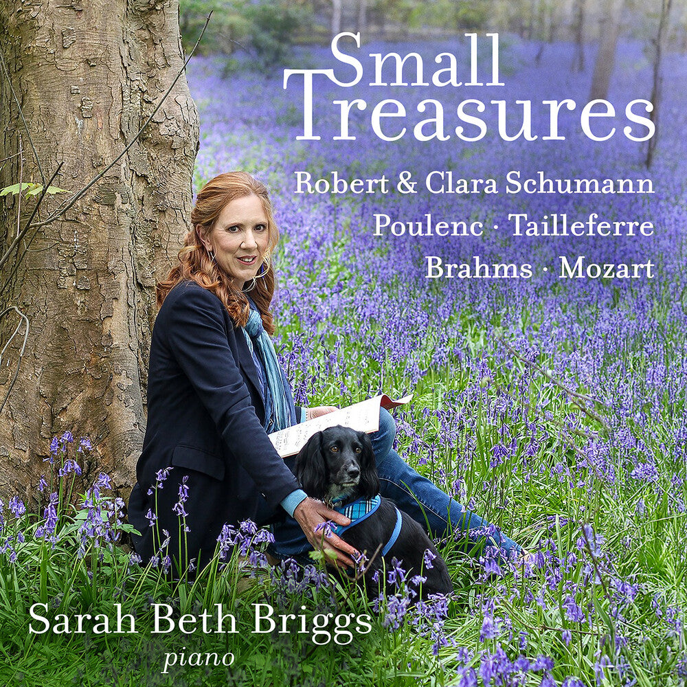 the album cover for Sarah Briggs - Small Treasures