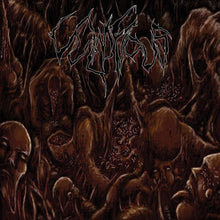 the album cover for Vulnificus - Inclination