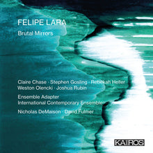 the album cover for Felipe Lara: Brutal Mirrors / Various - Felipe Lara: Brutal Mirrors (Various Artists)