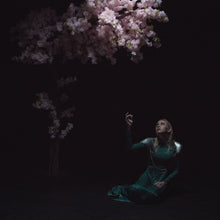 the album cover for Daedric - As The Light Left [With Booklet] (Phot) [Digipak]