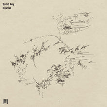 the album cover for Eyvind Kang - Riparian