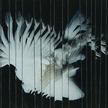 the album cover for Scaler - Endlessly