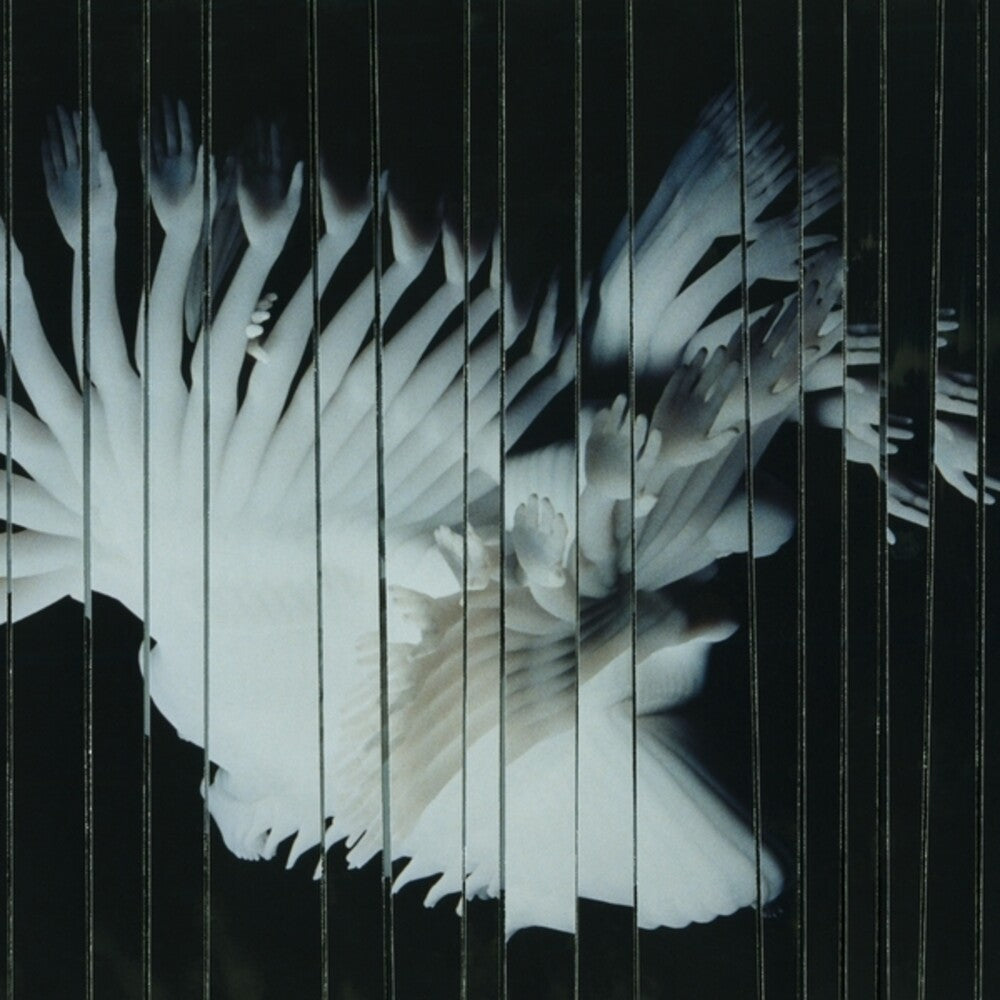 the album cover for Scaler - Endlessly