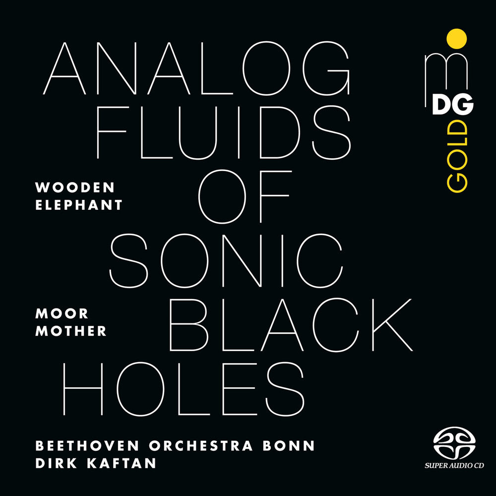 the album cover for Moor Mother - Analog Fluids Of Sonic Black Holes