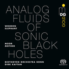 the album cover for Moor Mother - Analog Fluids Of Sonic Black Holes