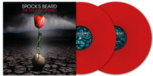 the album cover for Spock's Beard - Archaeoptimist - 140gm Red Vinyl