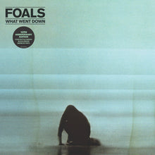 Foals - What Went Down (Aniv) [LP] Vinyl Record