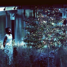 the album cover for Jjjjjerome Ellis - Vesper Sparrow