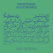 the album cover for Praed Orchestra - Dictionary Of Lost Meanings
