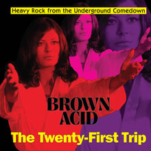 the album cover for Various Artists - Brown Acid - The Twenty-First Trip