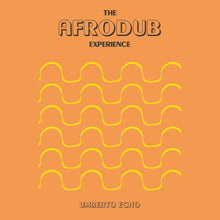 the album cover for Umberto Echo - Afrodub Experience