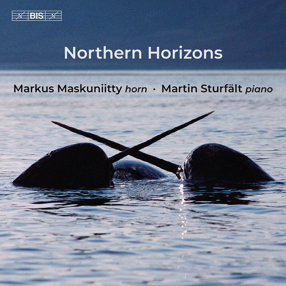 Markus Maskuniitty - Northern Horizons [CD]