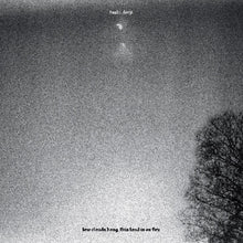 the album cover for Tashi Dorji - Low Clouds Hang This Land Is On Fire (Phot)