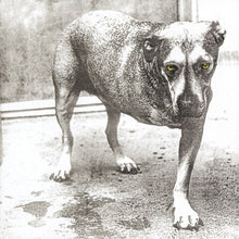 Alice In Chains - Alice In Chains (30th Anniversary Reissue) [Colored Vinyl] Vinyl Record
