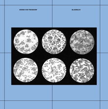 the album cover for Von Aroma Troisdorf - Blaumilch