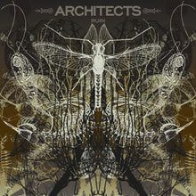 the album cover for Architects - Ruin [Limited Edition] (Pict)