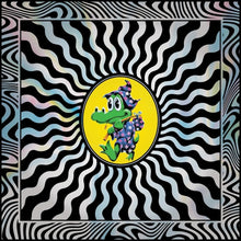 the album cover for King Gizzard & The Lizard Wizard - Field Of Vision '25 (Box) [Colored Vinyl] (Post) (Stic)