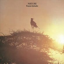 the album cover for Fumio Itabashi - Nature