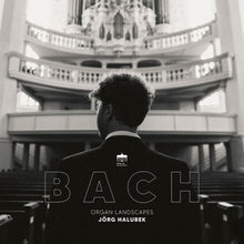 the album cover for Jorg Halubek - Organ Landscapes
