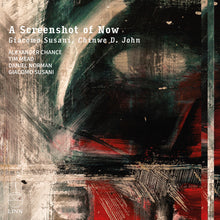 the album cover for Alexander Chance - Screenshot Of Now