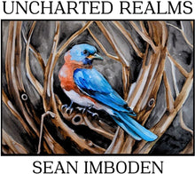 the album cover for Sean Imboden - Uncharted Realms [Digipak]