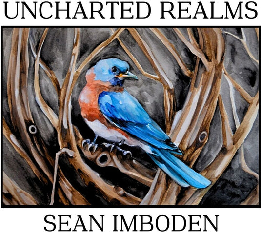 the album cover for Sean Imboden - Uncharted Realms [Digipak]