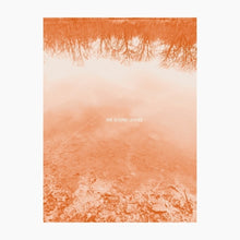 the album cover for Brad Rose  E - Sound Leaves