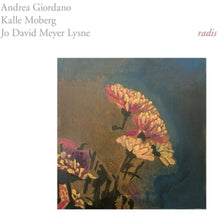 the album cover for Andrea Giordano  / Moberg,Kalle - Radis