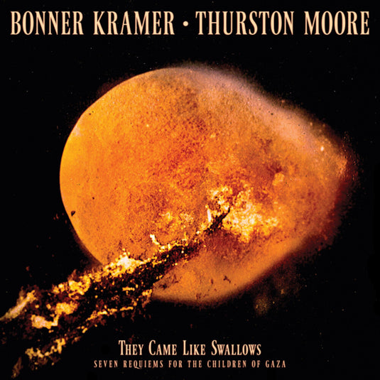 the album cover for Bonner Kramer  / Moore,Thurston - They Came Like Swallows - Seven Requiems [Colored Vinyl]