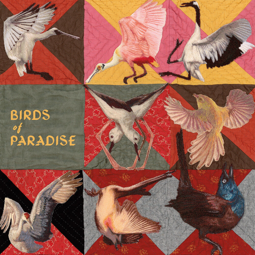 Thomas Dollbaum - Birds Of Paradise - Pink [Colored Vinyl] (Pnk)