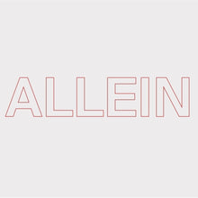 the album cover for Quarks - Allein