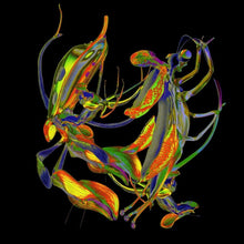 the album cover for DJ Nobu - Sho