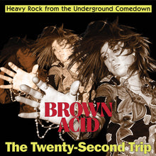 Brown Acid - Twenty-Second Trip / Various - Brown Acid - Twenty-Second Trip / Various [LP]