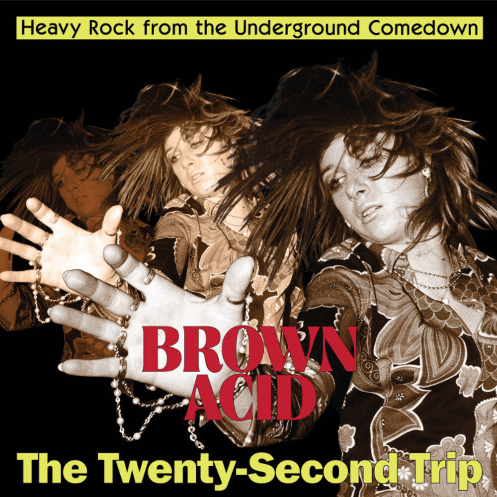 Brown Acid - Twenty-Second Trip / Various - Brown Acid - The Twenty-Second Trip (Various Artists) [CD]