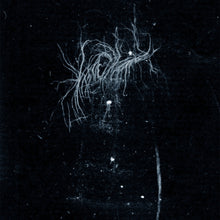 the album cover for My Heart, An Inverted Flame - My Death Is More Beautiful Than Your Life