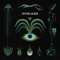 the album cover for Eric Demuro - Simulacra