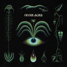 the album cover for Eric Demuro - Simulacra