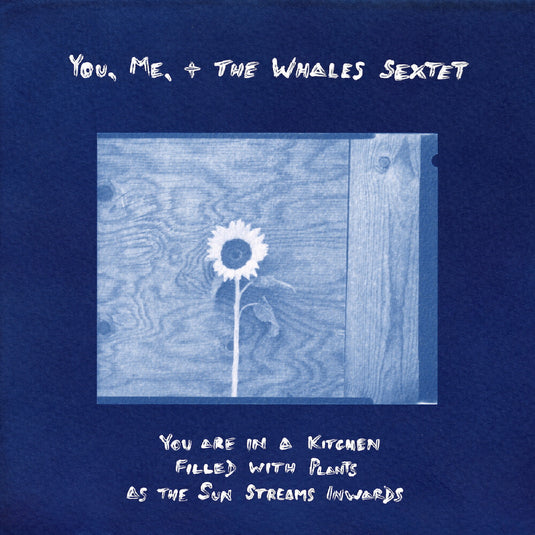 the album cover for You, Me, + The Whales Sextet - You Are In A Kitchen Filled With Plants As The Sun