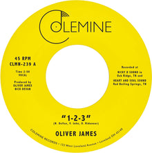 the album cover for Oliver James - 1-2-3 / Nothing Is Forever
