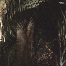the album cover for Acid Pauli - Urwald (Ep)