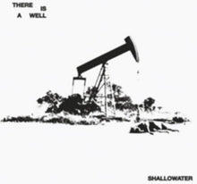 the album cover for Shallowater - There Is A Well [Colored Vinyl]