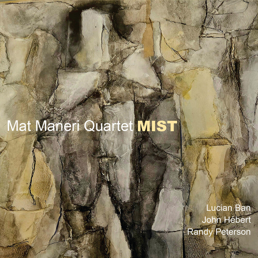Mat Maneri - Mist [CD] | Paladin Vinyl