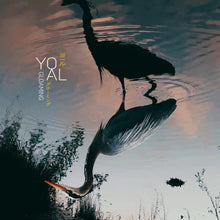 the album cover for Yoal - Gloaming [Limited Edition]