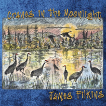 the album cover for James Filkins - Cranes In The Moonlight (Wal) (Eco)