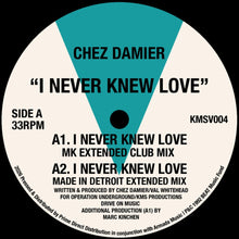 the album cover for Chez Damier - I Never Knew Love