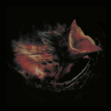 the album cover for Gurriers - Nobody's Coming To Save You [Black]