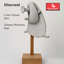 the album cover for Conor Nelson - Itinerant