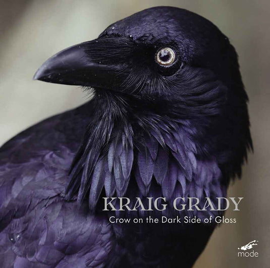 the album cover for Kraig Grady - Kraig Grady: Crow On The Dark Side Of Gloss